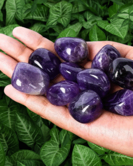 Amethyst Tumble 4 Piece Set